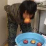 Haruki apple