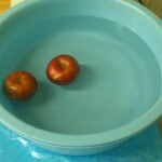 apples in the tub water